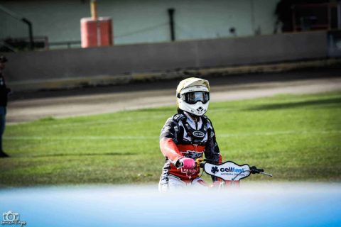 Wilki stawiają na szkolenie młodzieży