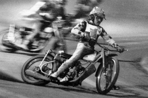 Olle Nygren – Wilk w białym szaliku