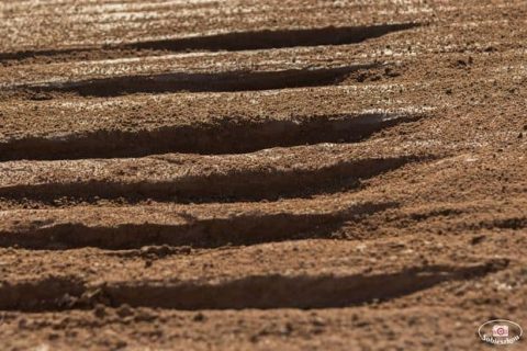 Speedway Ekstraliga Camp w liczbach